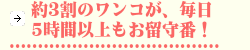 約3割のワンコが、毎日5時間以上もお留守番！2.png